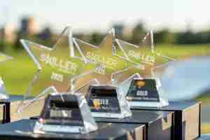 Skiller Awards